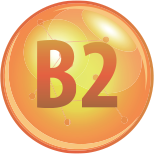 Riboflavín